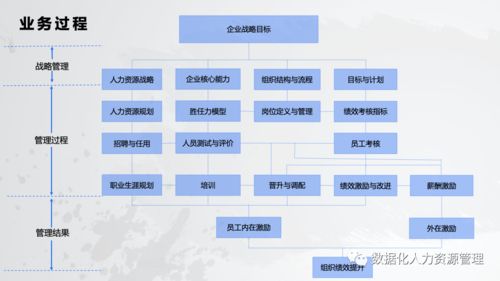 數據產品在人力資源管理的實踐與思考 一、在線數據處理與交易處理業務
